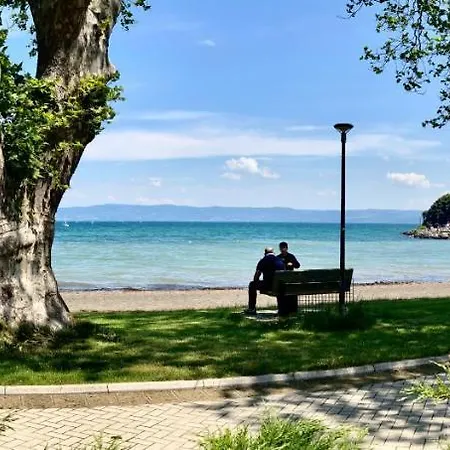Serendipity Di Bolsena